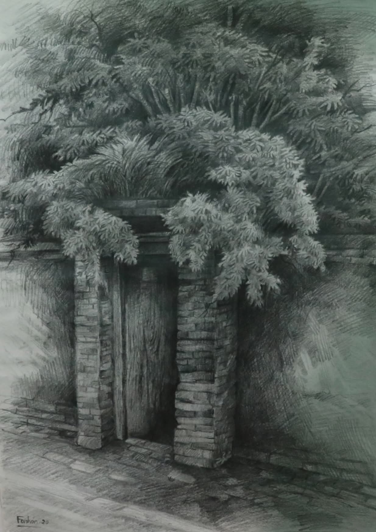 Portfolio 10