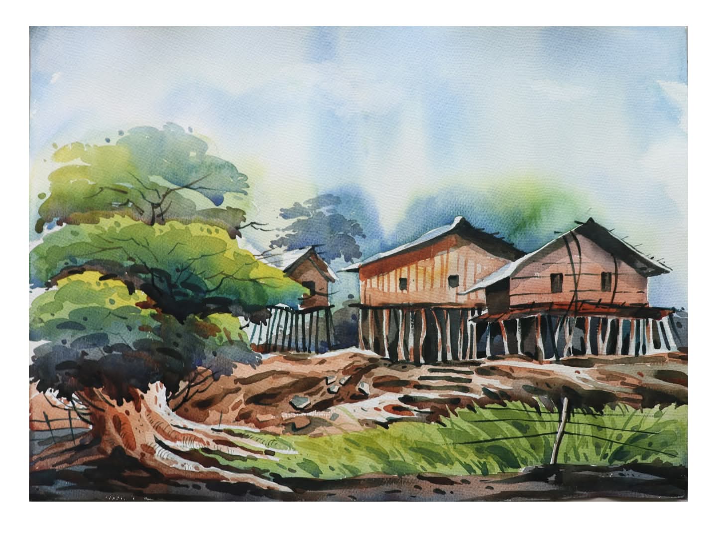 Portfolio 5