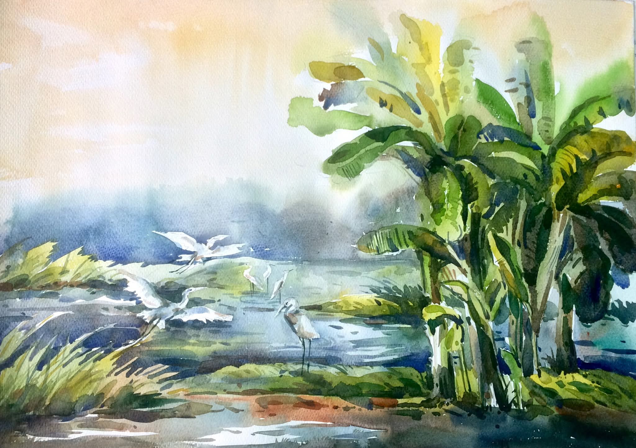 Portfolio 7
